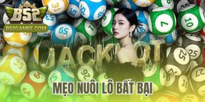 mẹo nuôi lô bất bại